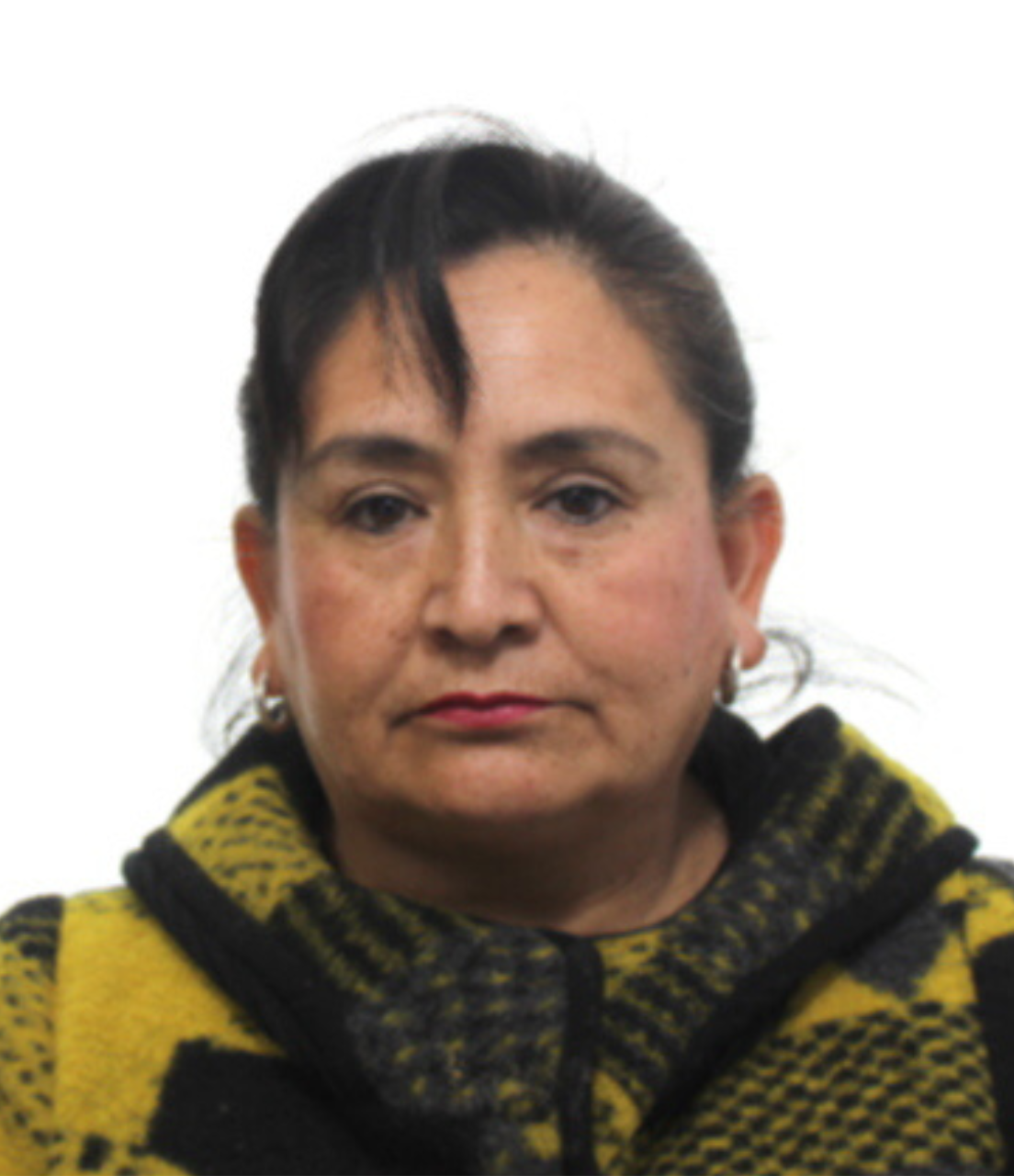 Docente Asociada