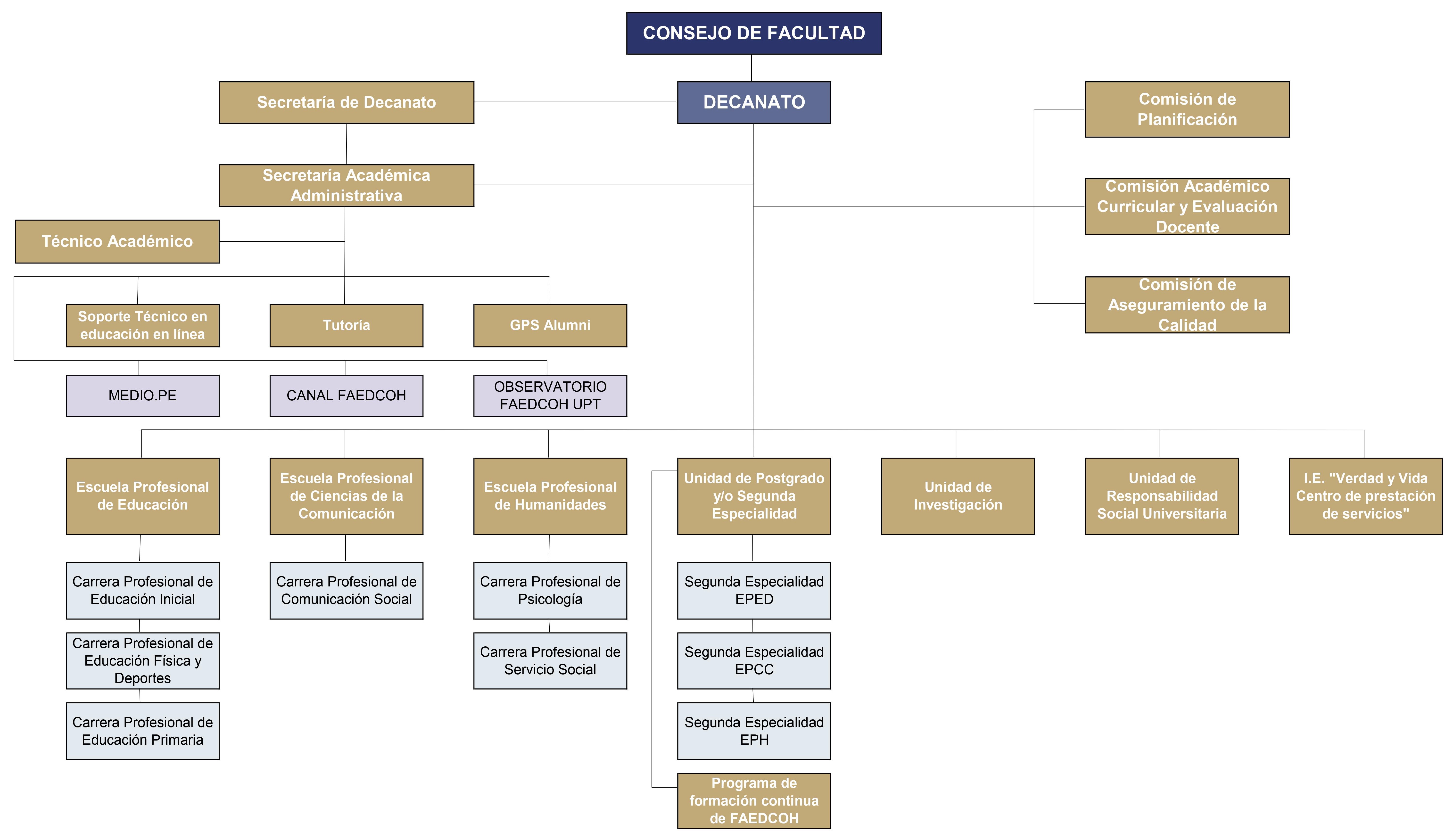 Organigrama FAEDCOH 2024